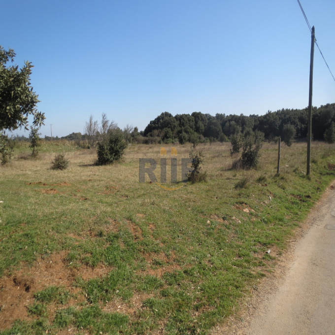 Offres de vente Terrain Cabrières (30210)